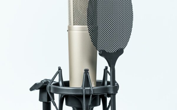 БАҚ масс-медиа болды. Шулы заң сенаттан өтті