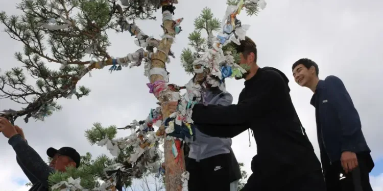 Бурабайдағы бұтақтардан шүберек шешілді