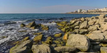 5 жылда 58 жан мерт болды. Каспийдің Маңғыстау жағалауындағы адам шығыны 