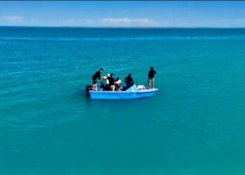 Балқаштың балығынан балықшылар неге қашады? Балқаш көлі кімдікі?