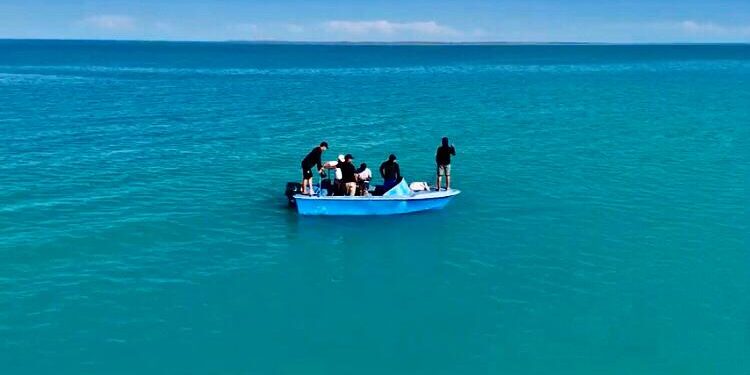 Балқаштың балығынан балықшылар неге қашады? Балқаш көлі кімдікі?