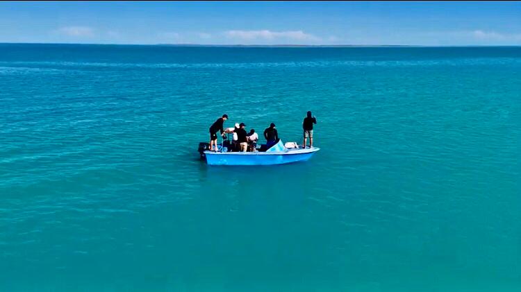 Сперматозоидтардың пискаға шашырауы 3G порнофильмдері