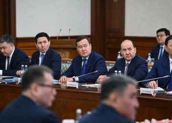 Тоқаев үкіметті көзбояушылықтан арылып, нақты нәтижеге жетуге шақырды