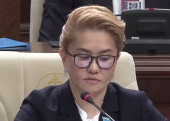 Плагиаттық дауы. Президенттің депутат жиені туралы мақала «қолды болды»
