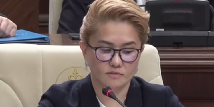 Плагиаттық дауы. Президенттің депутат жиені туралы мақала «қолды болды»